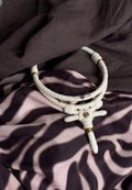Hairspring